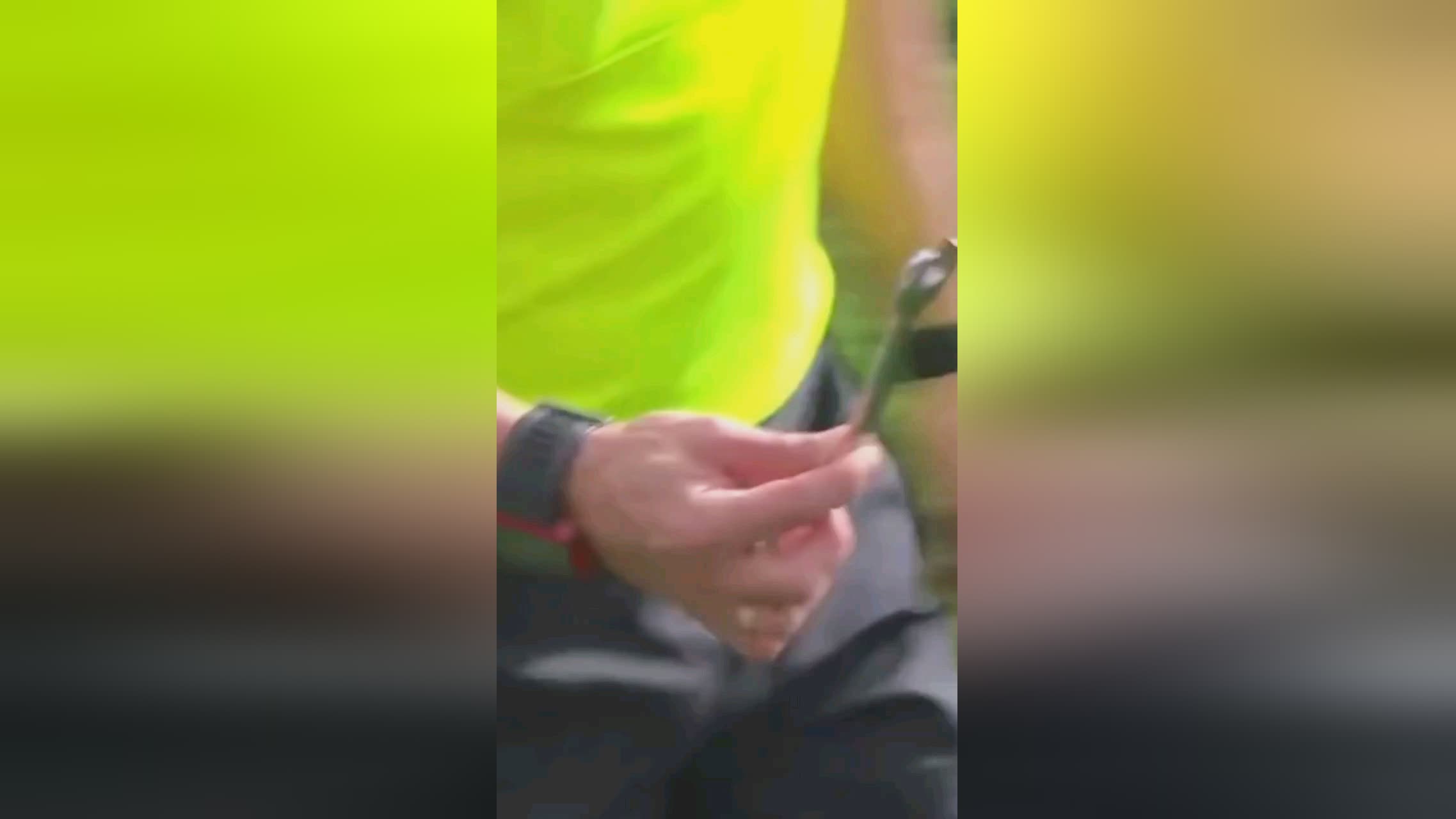 分析凯恩